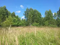 2013-08-18 12.12.03.webp