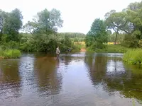 03082013705.webp