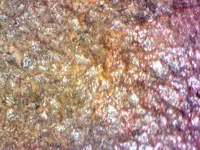 repro micro shot 3.webp repro micro shot 3.webp