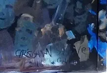 DSCN1229.webp