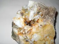 DSCN2173.webp