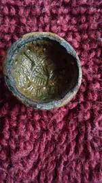 back of button.webp