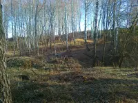 23102013807.webp