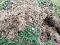 Resized_20170303_160007.webp