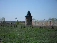 SDC10411.webp
