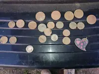 20170225_162346.webp