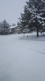 snow.webp