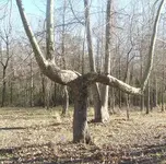 boundary_feb09.webp