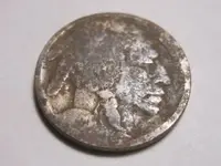 2172017 Buffalo.webp