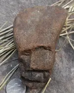 head snip f 2.webp
