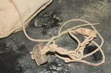 DSCN5272.webp