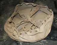 DSCN5273.webp