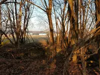 Resized_20170115_081017.webp