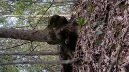 20170208_150434.webp