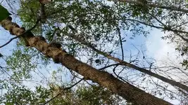 20170208_150456.webp