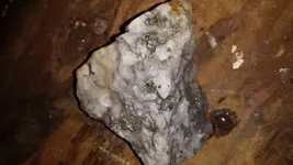 Rock.webp Rock.webp