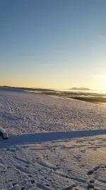 20170115_074706.webp
