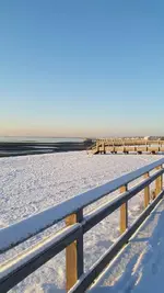 20170115_074700.webp