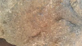 20170226_083211.webp