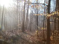 0208170929-00.webp