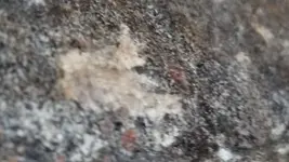 1488120617390-407965617.webp