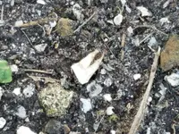 Resized_20170225_100011.webp