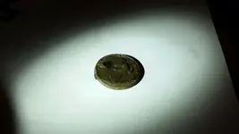 buckle 1.webp