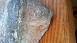 1488120767697-1930094105.webp