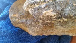 20170226_100540.webp