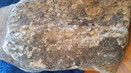20170226_100331.webp