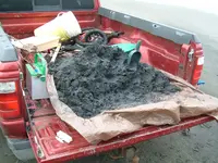 DSCF0021.webp