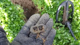 just dug buckle4.webp