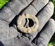 just dug buckle5.webp