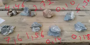assay samples.webp