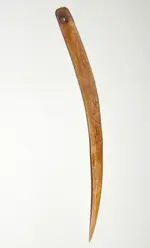 DSCN5126.webp