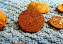 20170122_170257.webp