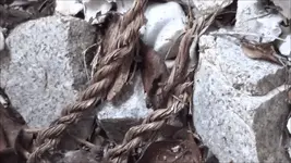 rope1.webp