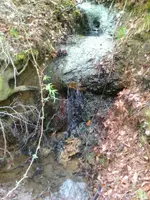 1487440539304.webp