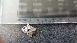 20170309_111528.webp