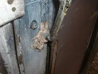 DSCF0010.webp
