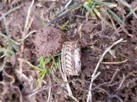 20170120_154102.webp