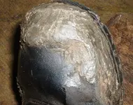 DSCF0002(1).webp