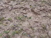 three_quart_ax_buried.webp