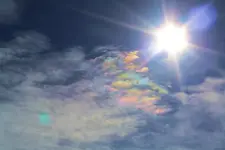 1-31c.webp