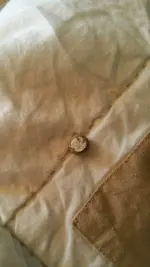 ImageUploadedByTreasureNet.com1488663169.930467.webp