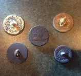 Buttons 1.webp
