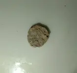 coin2.webp