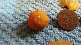 20170122_170334.webp