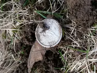 20170309_122523.webp