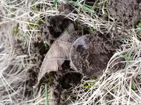 20170309_122510.webp